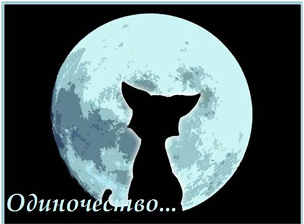 одиночество