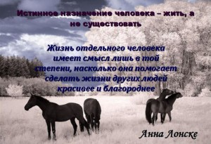 Анна Лонске, мудрые мысли